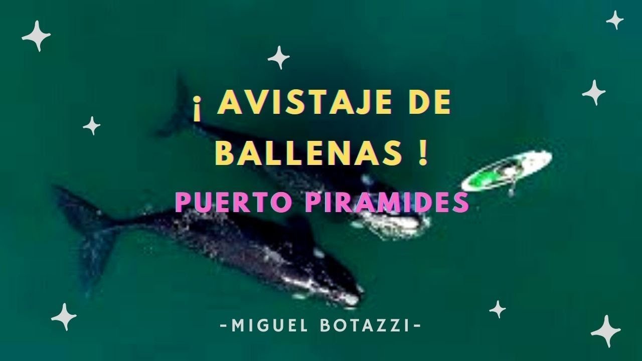 AVISTAJE de BALLENAS  en PUERTO PIRAMIDES  con MIGUEL BOTTAZZI - CHECKIN TV
