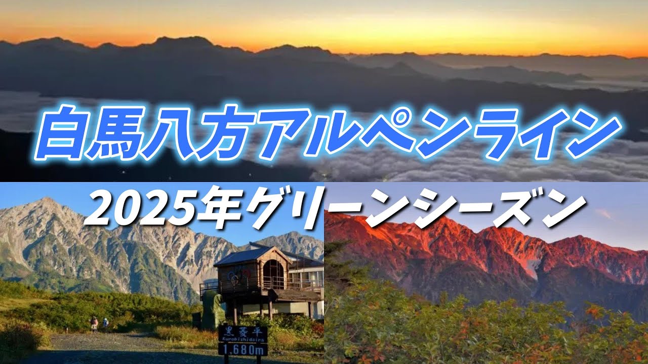 白馬八方アルペンラインの絶景がすごい！2025年グリーンシーズン情報