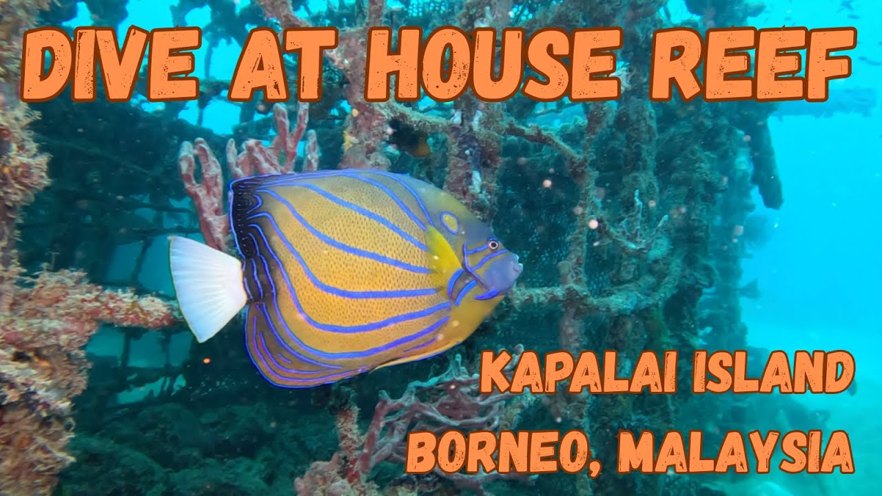 Dive at House Reef, Kapalai Island, Borneo, Malaysia.