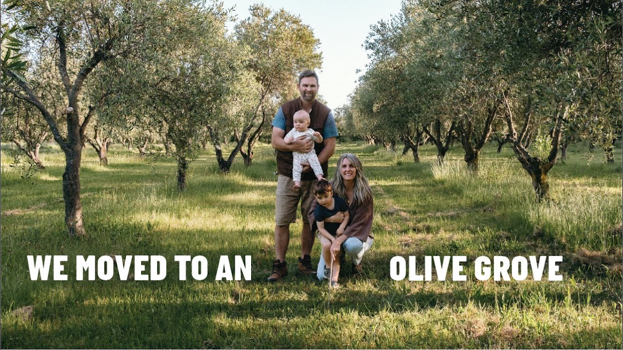 We Moved to an Olive Grove | Kin Grove | #01