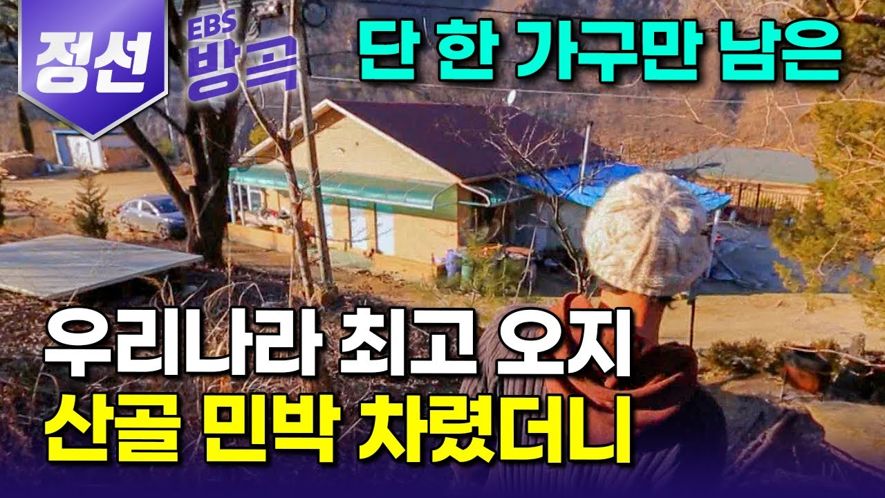 [강원 정선] 