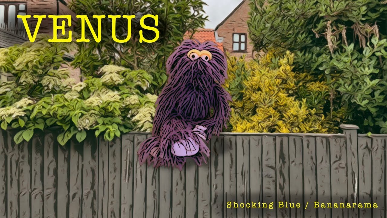 Venus (Shocking Blue / Bananarama) - Dark Puppet theatre rendition.