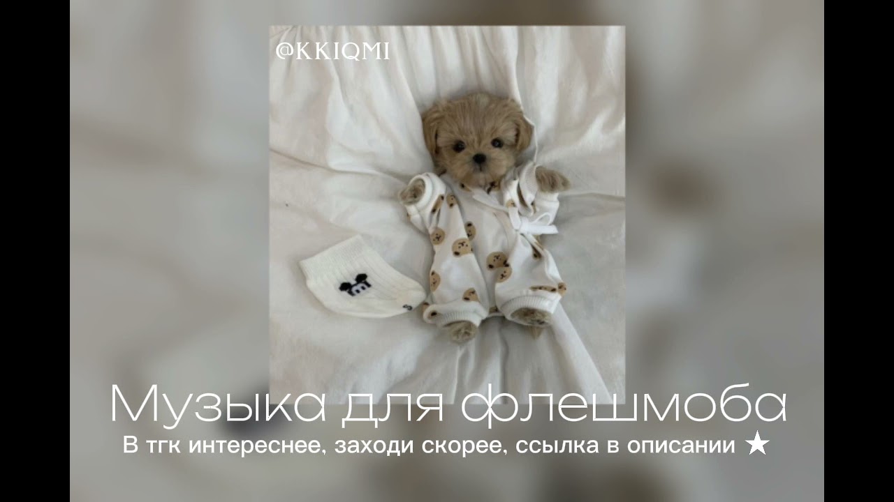 Музыка для флешмоба || Ссылка на тгк в описании || от @KKIQMI