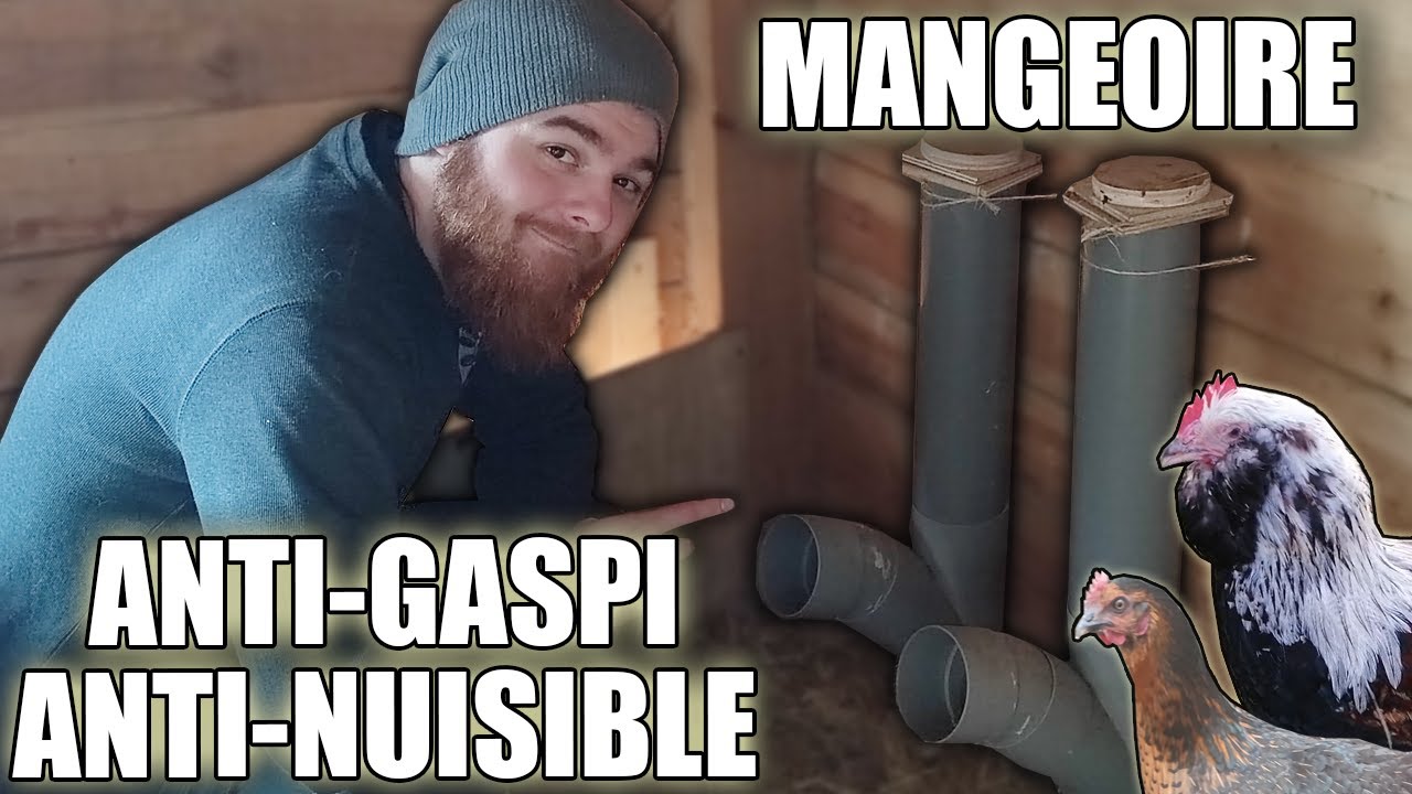 Faire une Mangeoire pour poules Anti-Gaspillage & Anti-Nuisible !