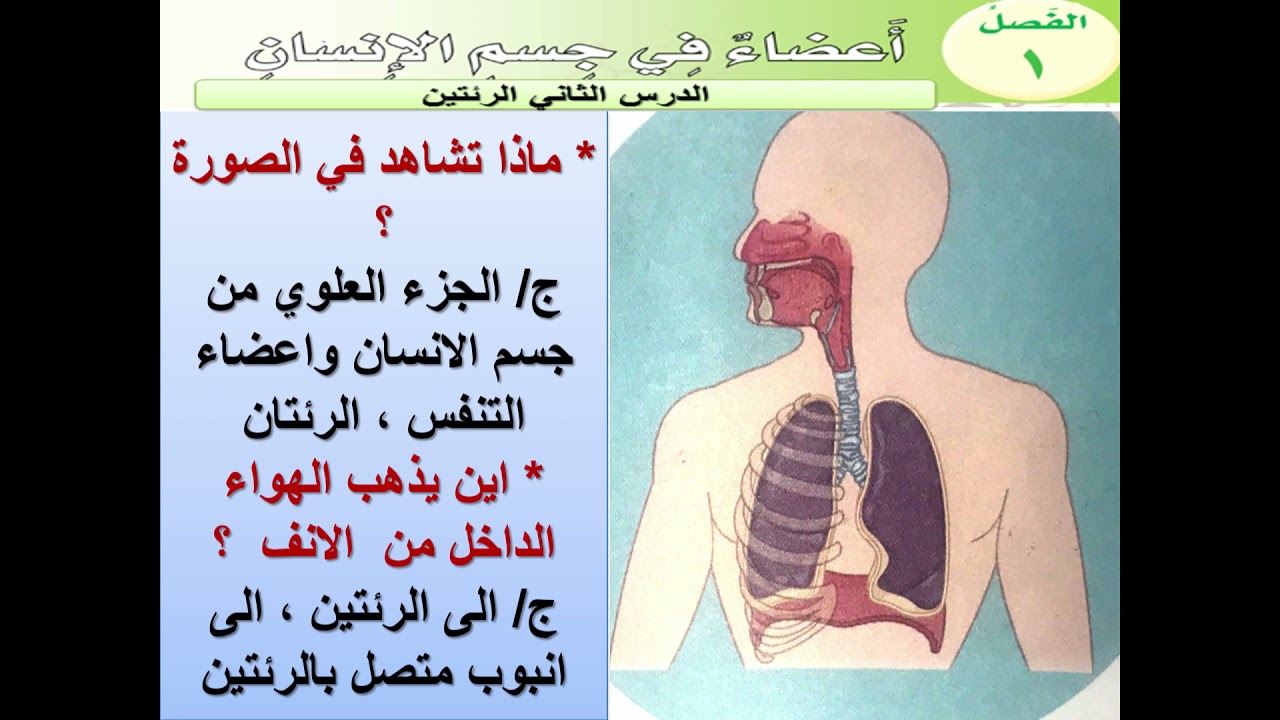 العلوم - الثاني الابتدائي , الوحدة الاولى , الرئتين الجزء الثاني