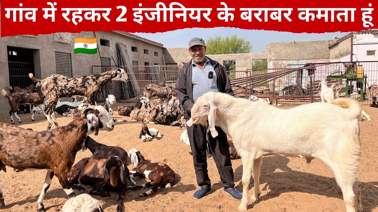 गांव में रहकर 2 इंजीनियर के बराबर कमाई | Goat Farm Tour Haryana