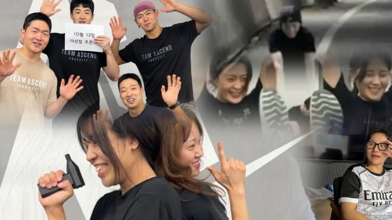 김민교란작전과 염단비비탄발사