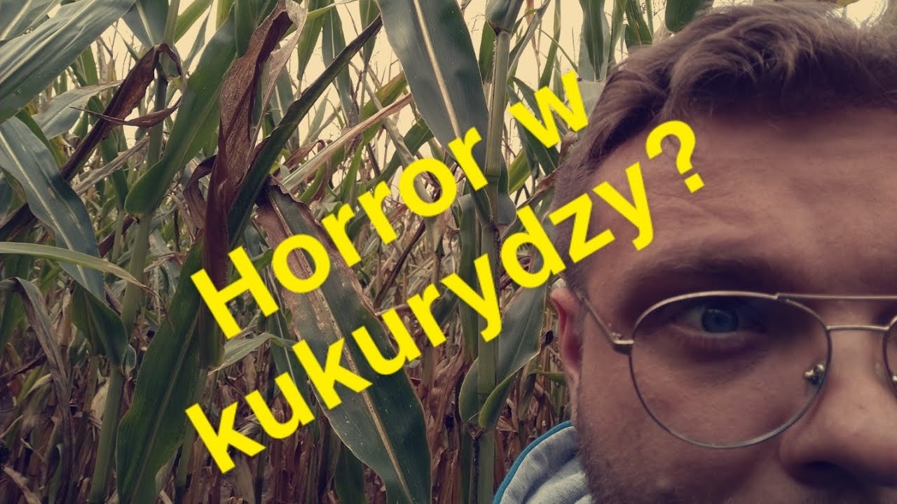 NibyVlog 2.0 odc. 5  Horror w kukurydzy ? Grzyby i twarde wędzisko!
