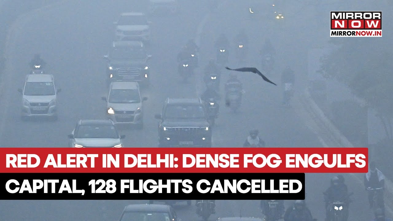 Delhi On Red Alert: 128 Flights Cancelled As Dense Fog Engulfs National Capital, AQI Slips To Severe