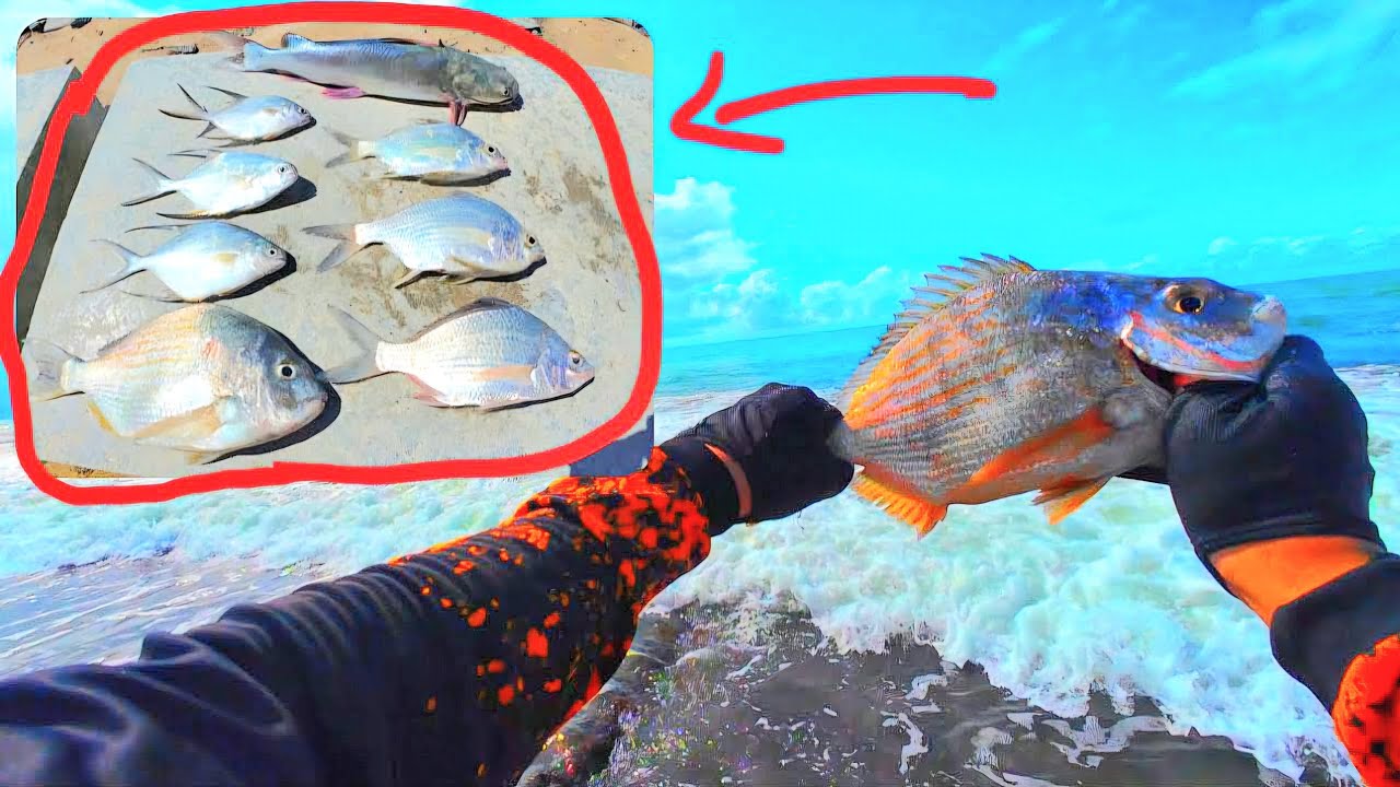 Pescaria no inverno, peixe apareceu! Praia de Boa viagem - Recife