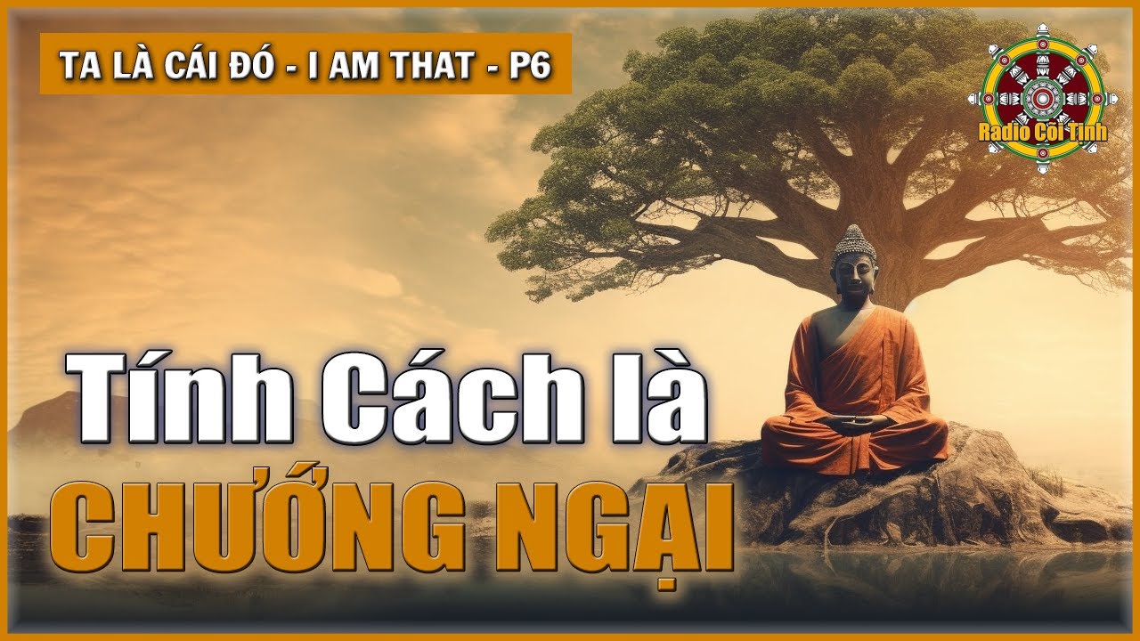 Sự An Lạc là Tinh Hoa Của Cái Đẹp | Ta là Cái Đó – phần 6