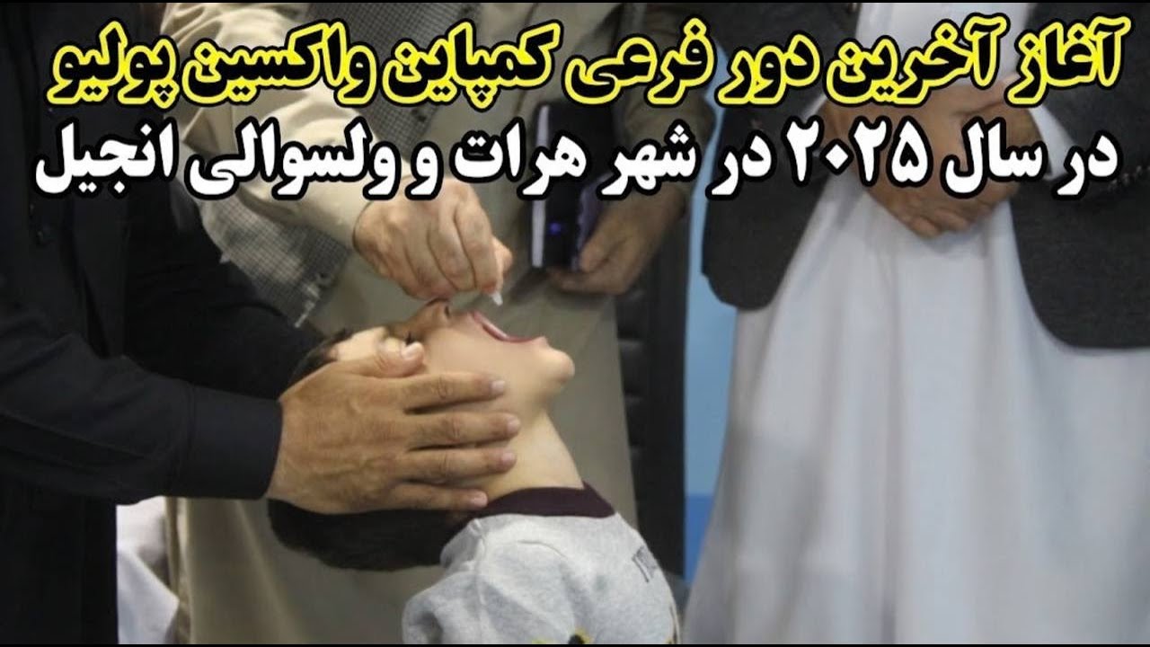 آغاز آخرین دور فرعی کمپاین واکسین پولیو در سال ۲۰۲۵ در شهر هرات و ولسوالی انجیل