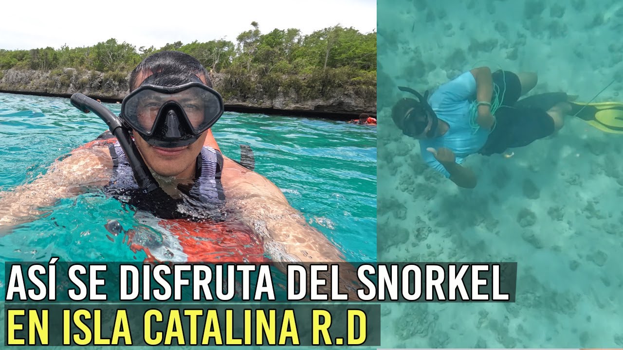 Así DISFRUTAMOS del Snorkel en la ISLA CATALINA/República Dominicana