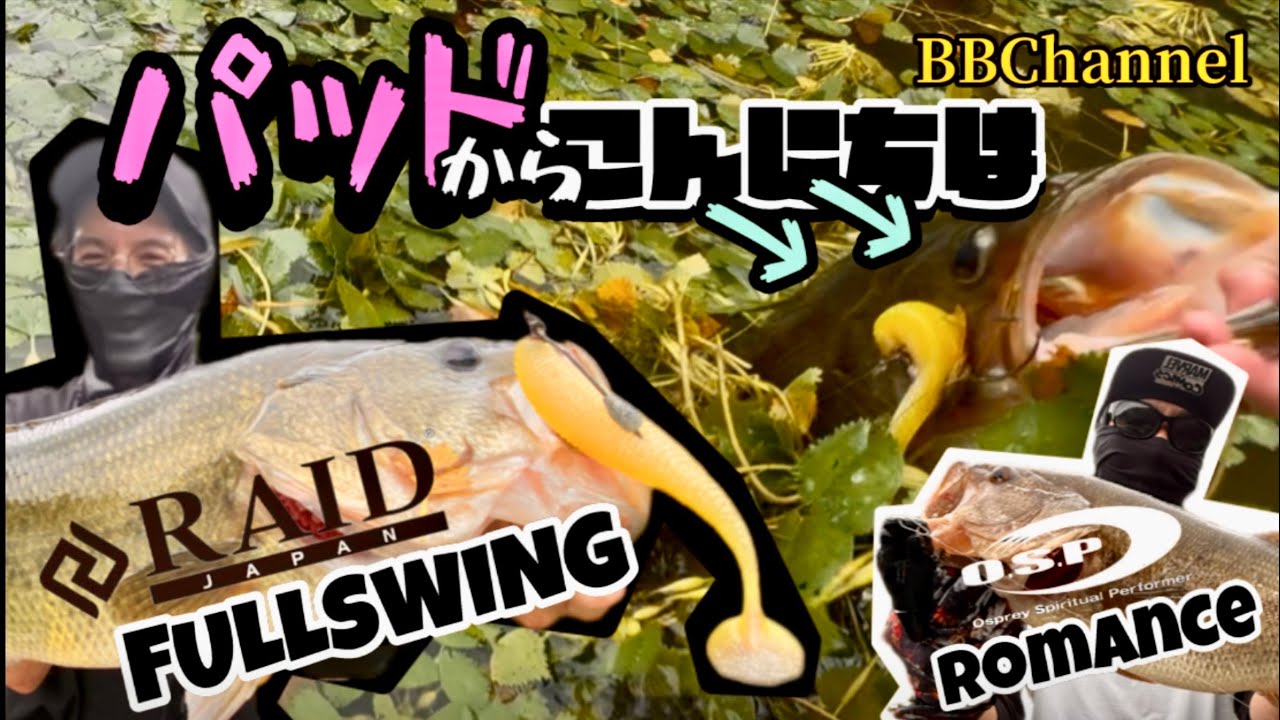 【バス釣り】パッドからこんにちは！！