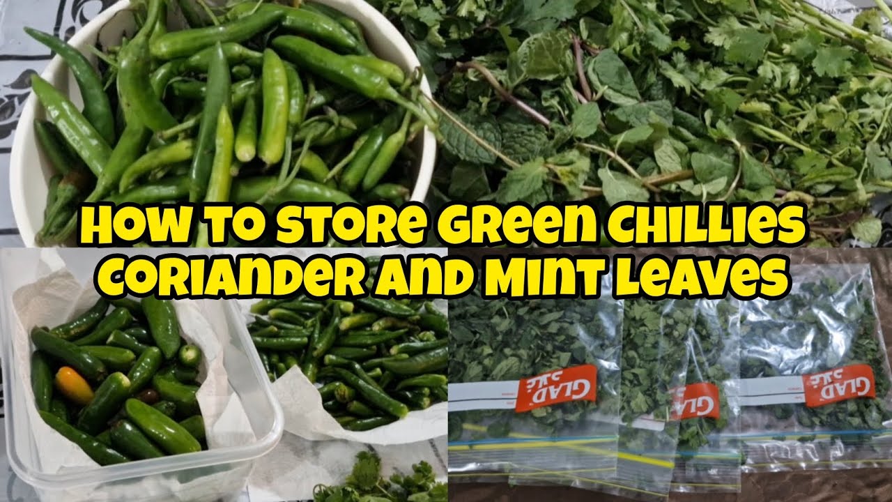 How to store Green chillies, Coriander and Mint in Fridge - Spice and Bites