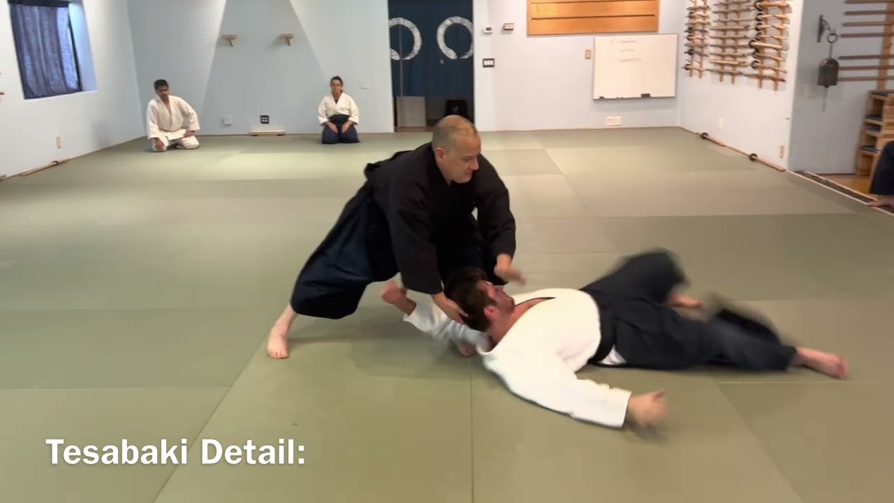 Aikido: Helpful Hints on Kaiten Nage Variant (Ki-no-Nagare)