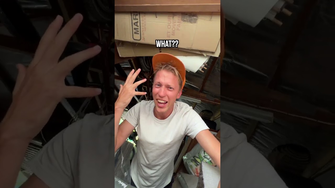 Ищу ПАУКОВ в моём австралийском ДОМЕ! 