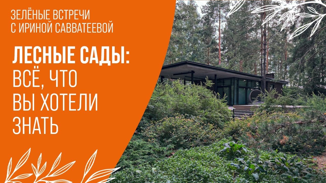 Творцы Леса: Сад На Лесном Участке | Обзор Сада 