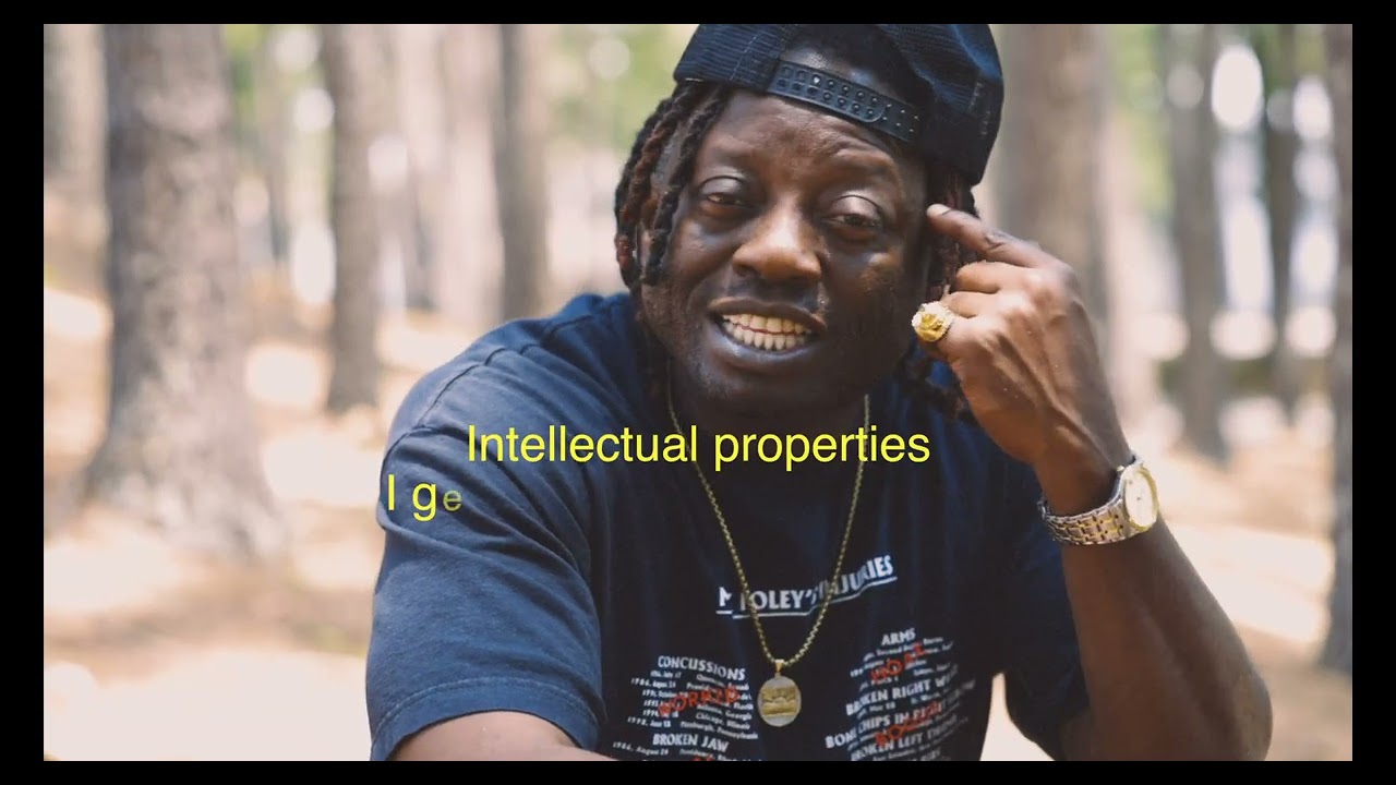 Pine Trees on Mountain View