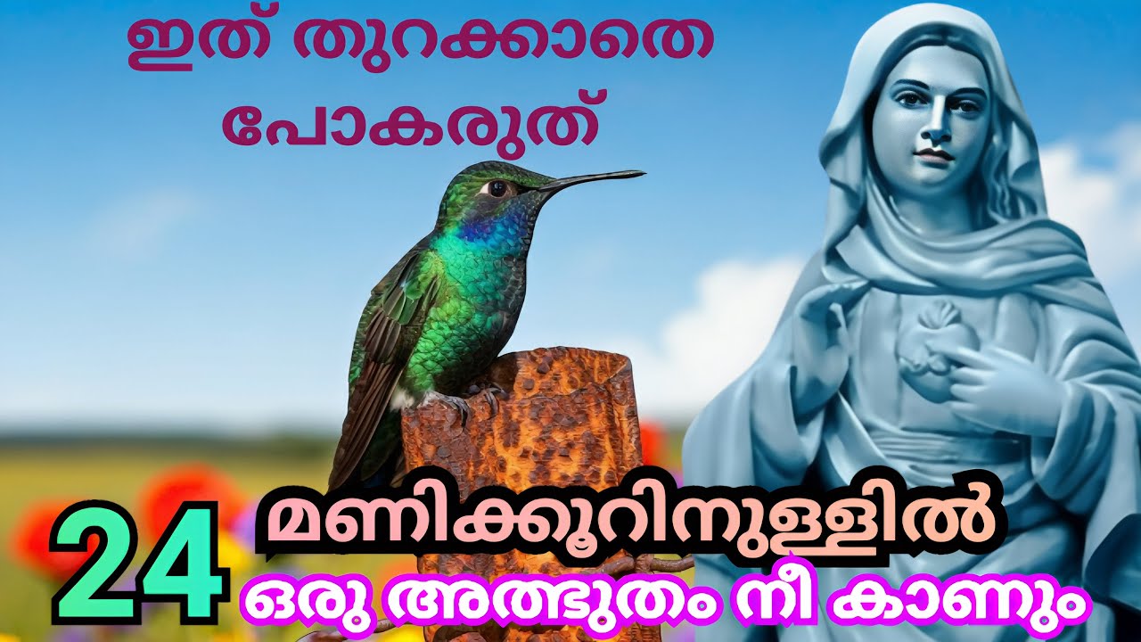 നടക്കില്ല എന്ന് കരുതുന്ന ആവശ്യവുംഅമ്മ നടത്തി തരും🙏1/11/25 #kripasanam  #kreupasanam #കൃപാസനംഅമ്മ