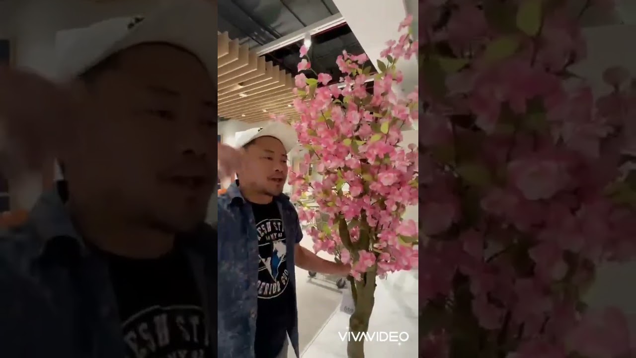 Music:Sweet Valentine, Musician:White Bones, Album:White Bones, Source:https://www.vcg.com/