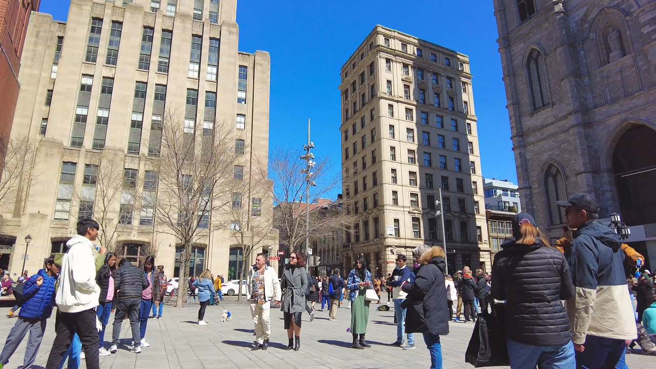 Sunny Walk from International District to Old Montreal (Notre-Dame Street) [4K] #montreal