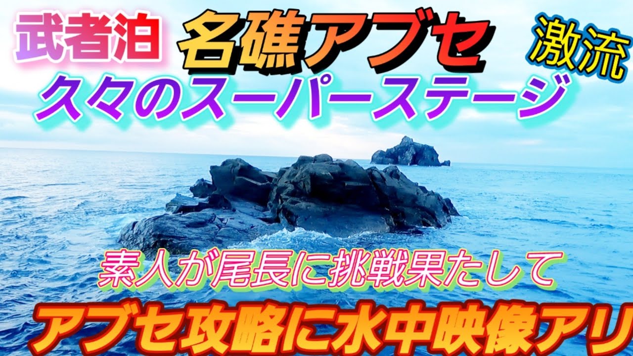 【日本屈指の名礁】武者泊　アブセ　攻略水中映像　巨グレは出たのか❔
