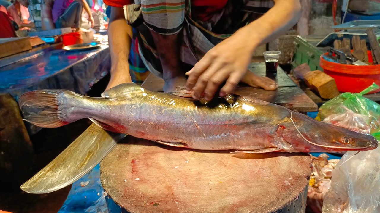 Cutting and Preparing a Giant Air Fish | Full Processing Video #long #viral #ytshorts #longvideo 