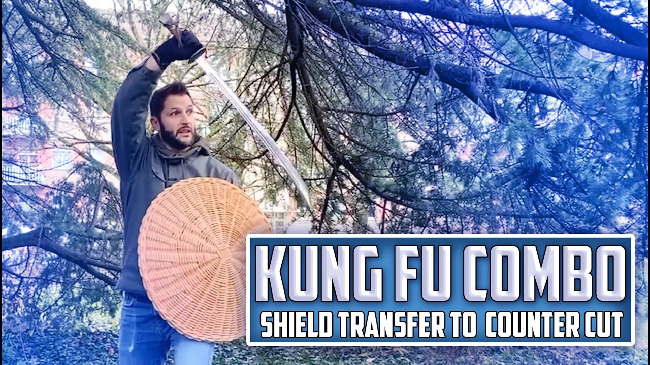 Kung Fu Combo - Sword and Shield Transfer to Counter Cut