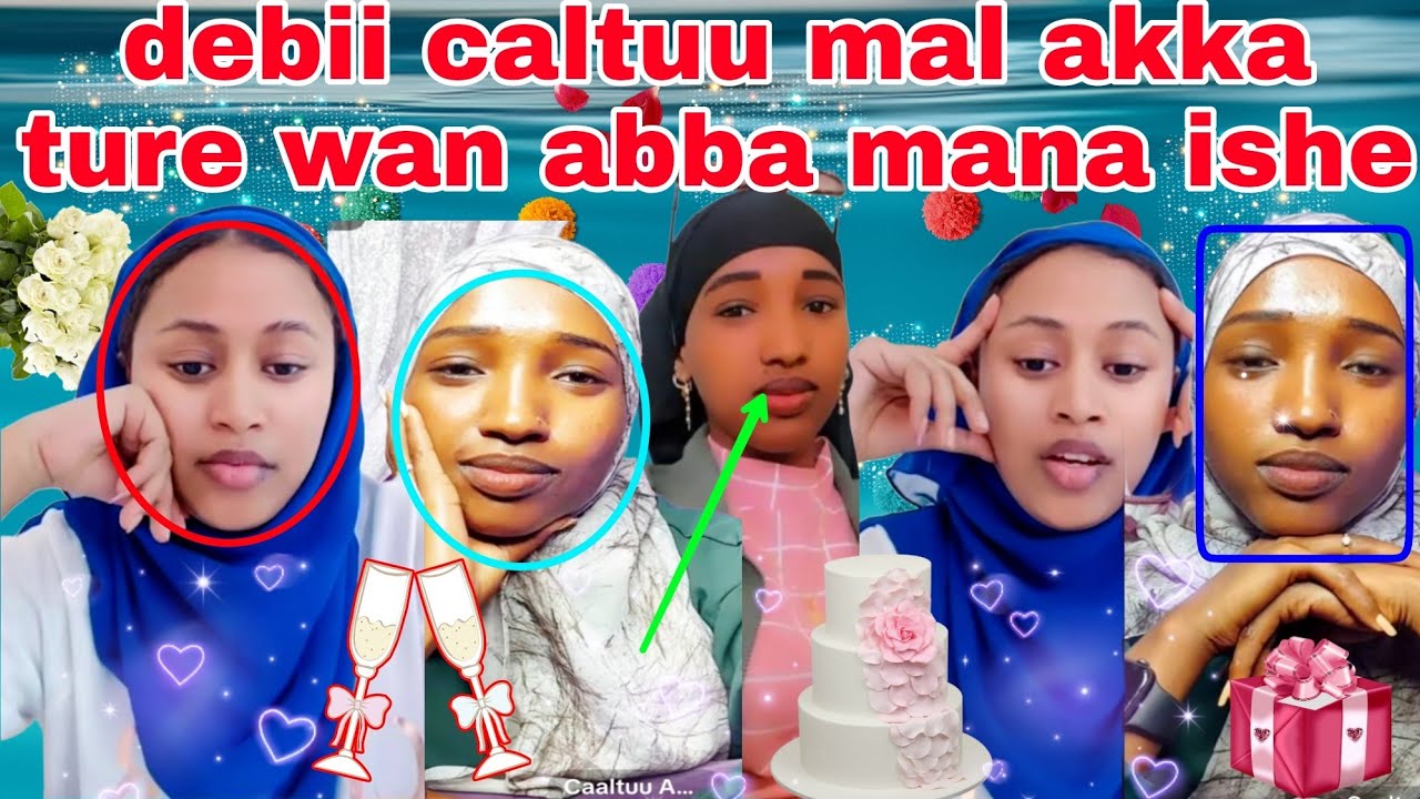 Makii caltuu Aman malif akka cairo🇪🇬 dhufte gafate gaffi jabdu abba mana ke akkam gote adda batan mo