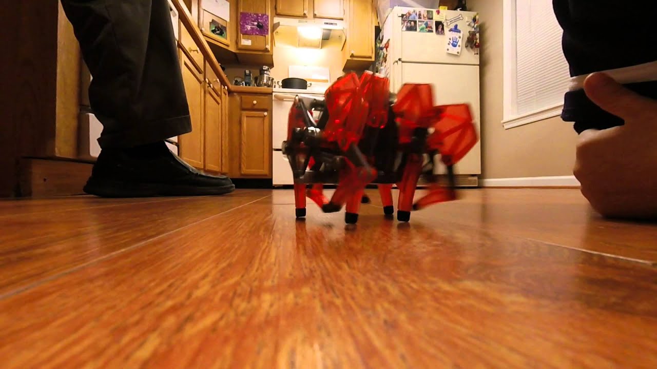 gopro everything