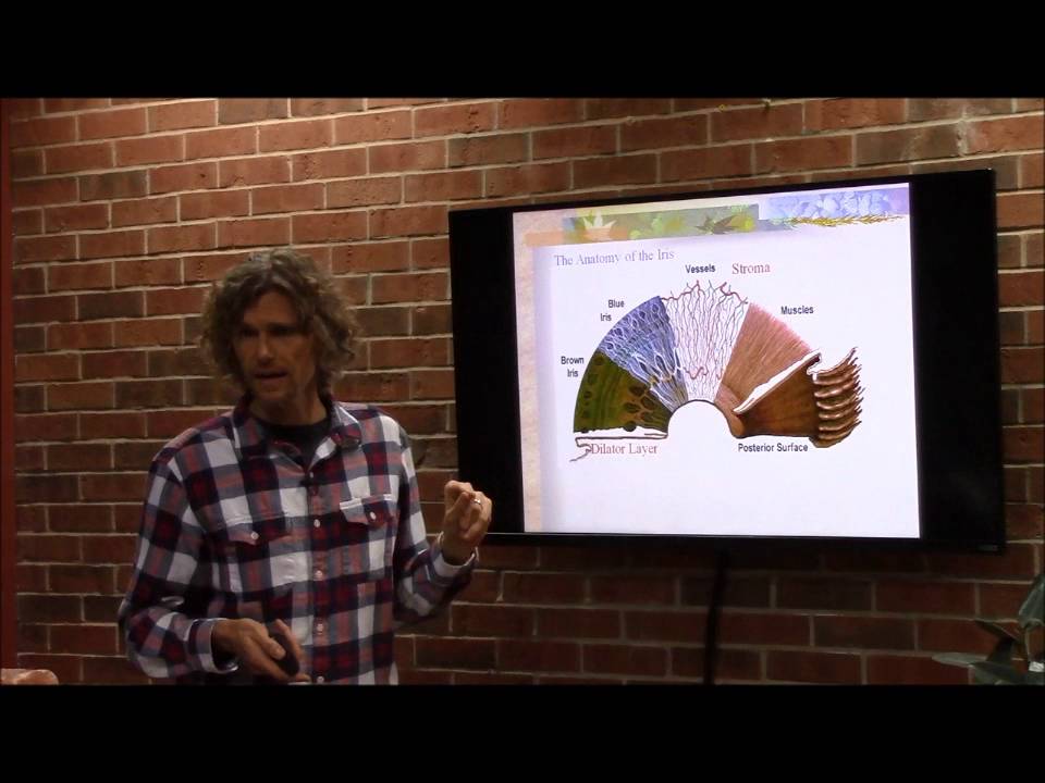 Iridology Training