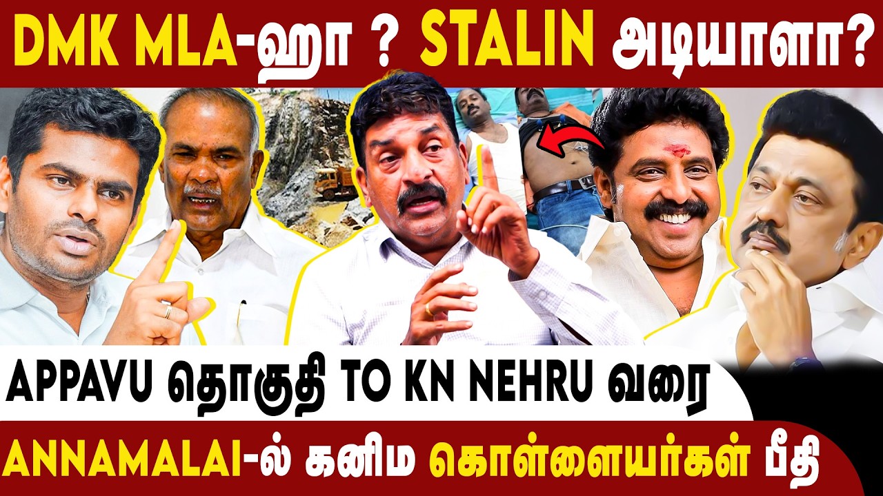 DMK MLA-ஐ குண்டர் சட்டத்தில் கைது செய்யணும் ! - TDS Ravichandran | DMK | Karur Reporter Issue