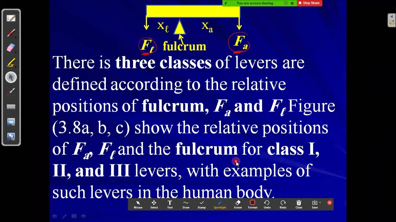 TORQUES AND ROTATIONAL EQUILIBRIUM part3