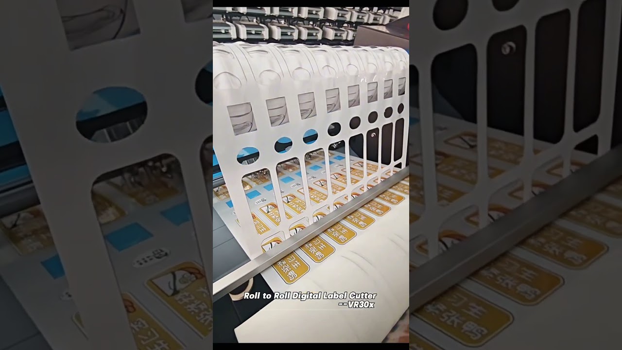 VR30X roll to roll label die cutting machine