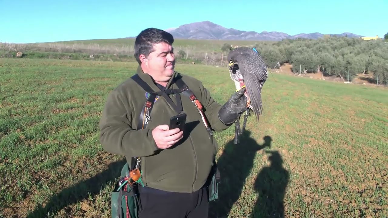 ADIÓS A PEPE AMALIO
