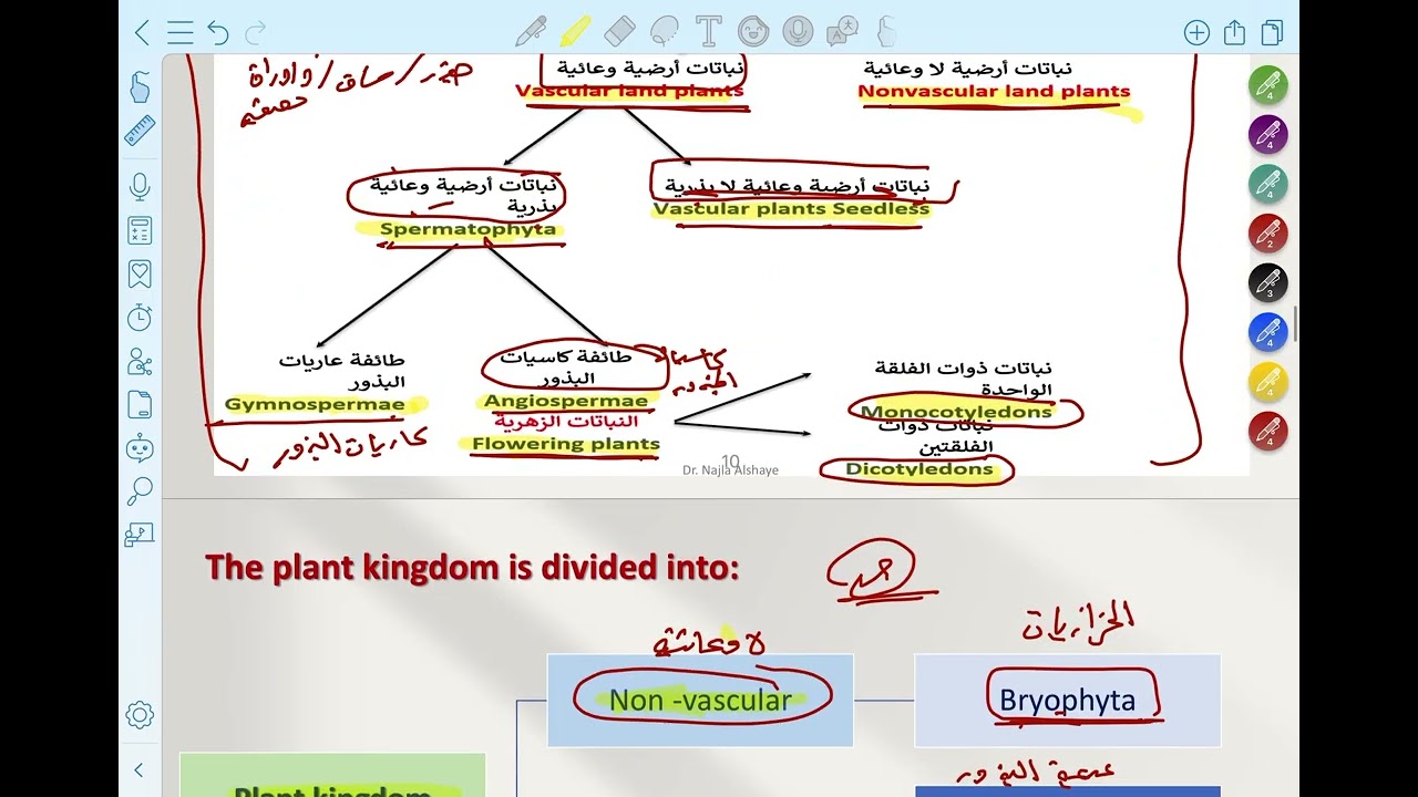 تشريح النبات /جامعة الاميرة نورة -plant Anatomy 