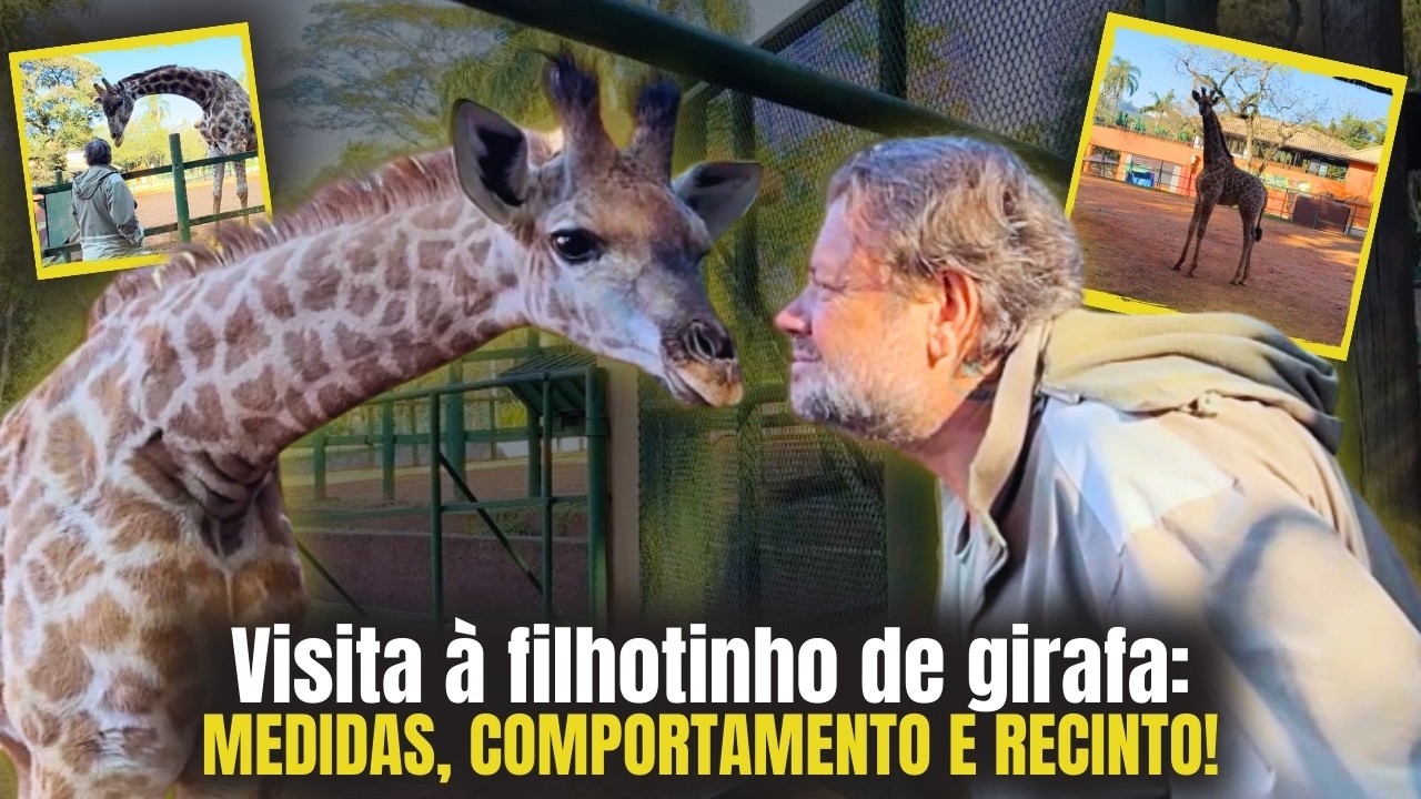 CONHECI DE PERTO A NOVA GIRAFINHA QUE NASCEU NO ZOO DE SP!