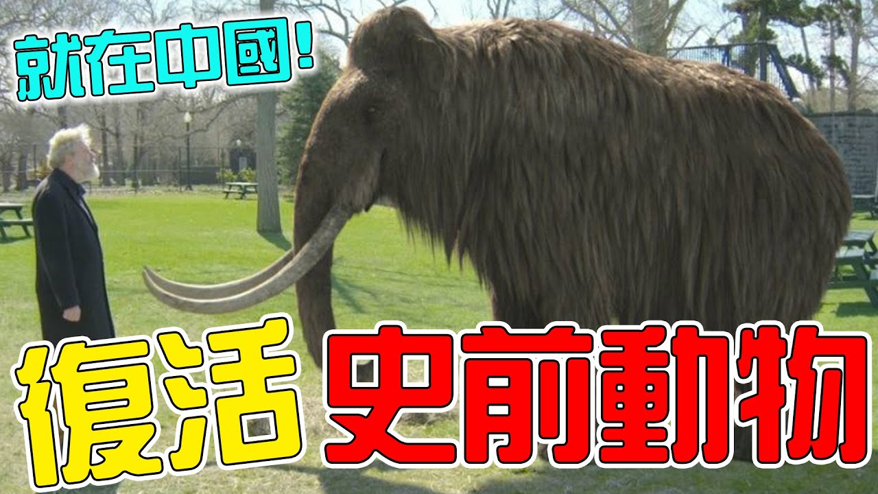 全世界即將復活的10種史前生物！獨角獸竟真實存在，第一名已經復蘇就在中國！#top #top10 #盤點 #出類拔萃 #動物 #史前生物