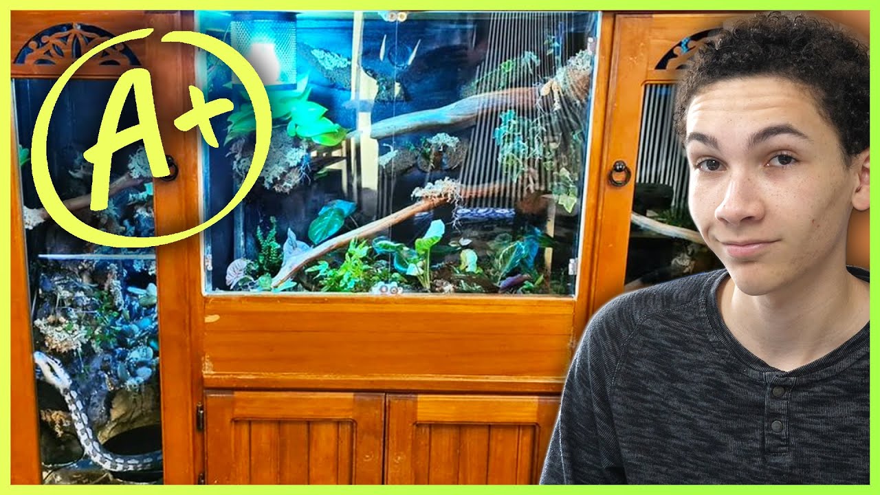Rating Your Super Creative Reptile Enclosures! - #3
