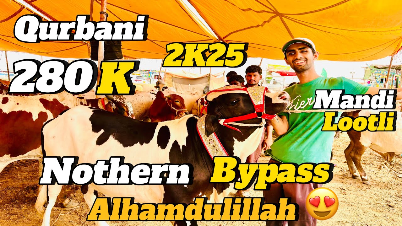 Alhamdulillah❤️apna 2025 ka janwar leylia🥳|Bhut mehnat ka bad finally soda Hogaya🤩||TRAVEL WITH TAHA