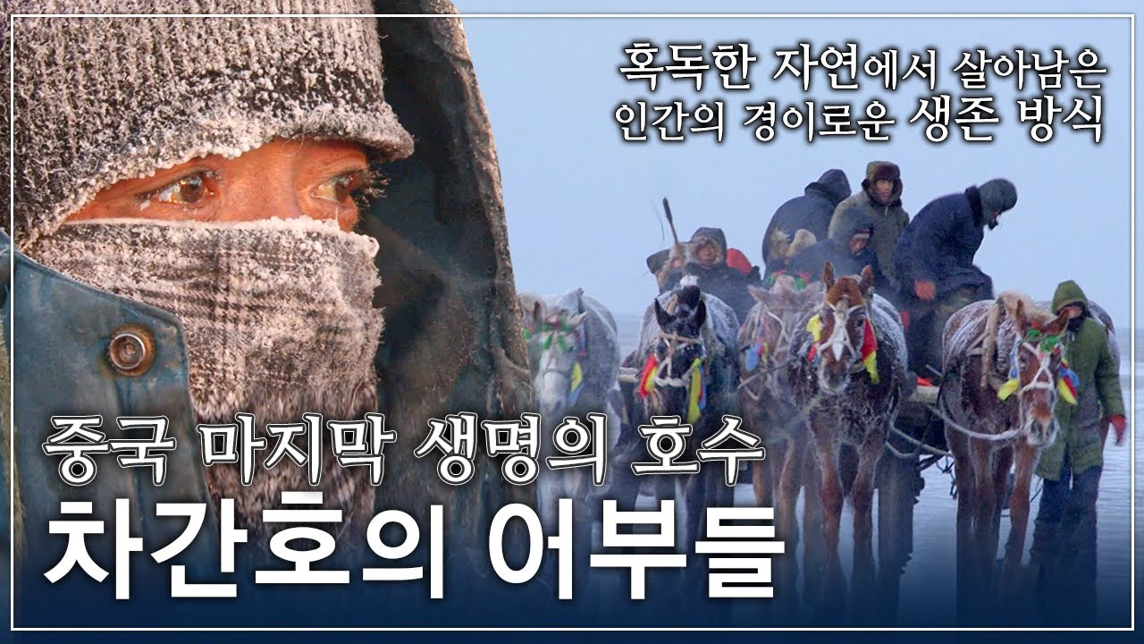 흐르는 땀방울 조차 얼어 붙는 거대한 얼음 대륙 차간호의 어부들ㅣ혹독한 자연에서 살아남은 인간의 경이로운 생존 방식ㅣ극한직업│#골라듄다큐