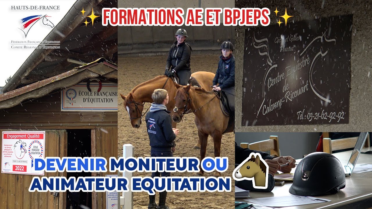 [Métiers du cheval] Formations BPJEPS & AE 🐴