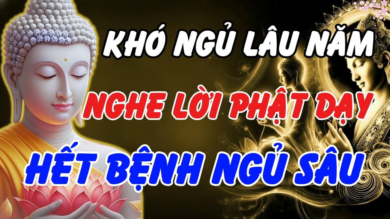 Khó Ngủ Lâu Năm? Mỗi Đêm Nghe 10 Phút Lời Phật Dạy – Tâm Dịu Lại, Ngủ Sâu Tự Nhiên