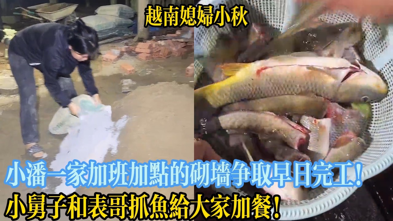 小潘一家加班加點的砌墻爭取早日完工！小舅子和表哥抓魚給大家加餐！【越南媳婦小秋】