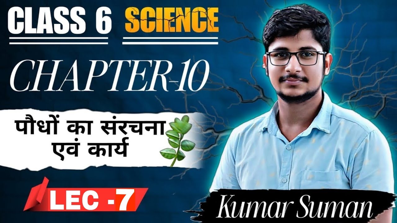 पौधों की सरंचना एवं कार्य 🌿 || SCIENCE CLASS 06 || LEC- 7 (LAST) || BY-  KUMAR SUMAN ||#6th #science