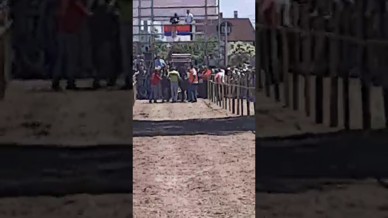 Sima Simić Popučke