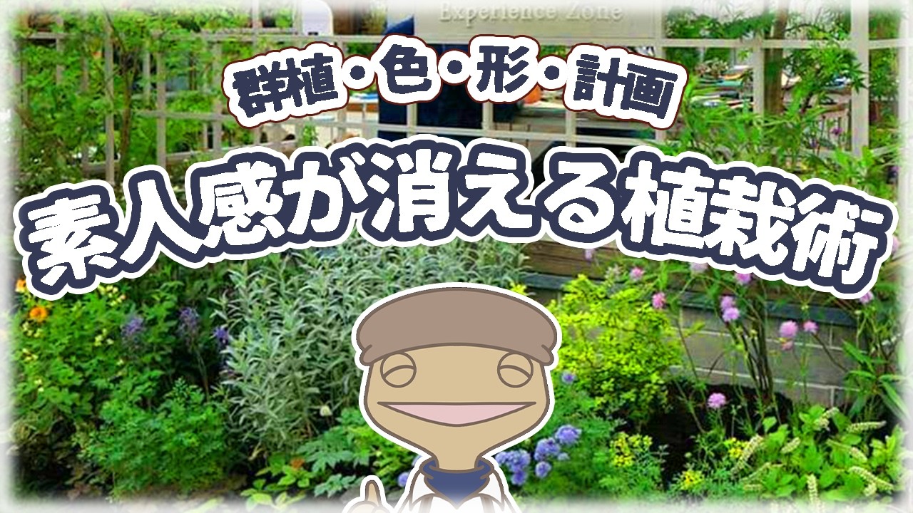 【たった４つだけ押さえて】🔰見た目の素人感が消える植栽術