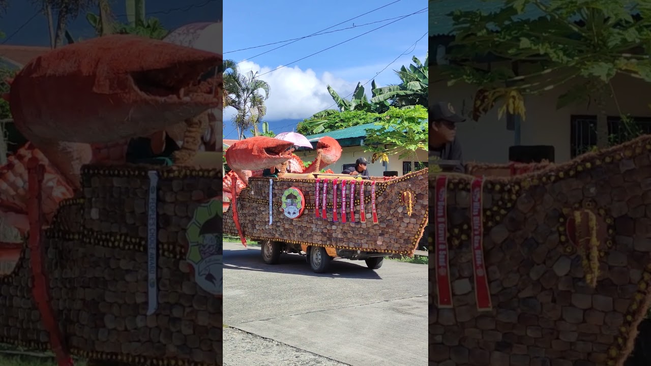 Wow! Float Parade #float #parade #festival #foryou