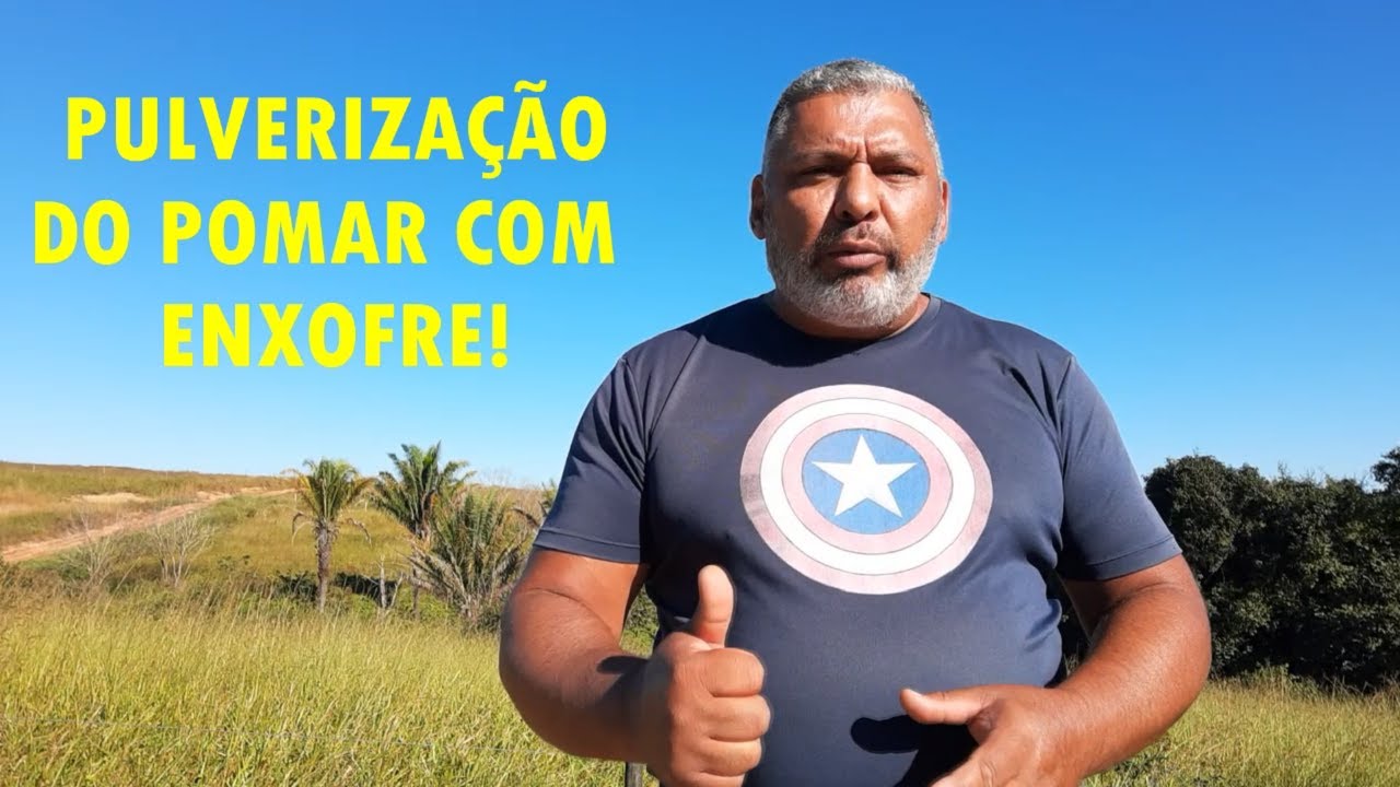 PULVERIZAÇÃO DO POMAR COM ENXOFRE